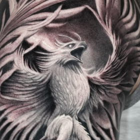 Phoenix Tattoo Design Thumbnail